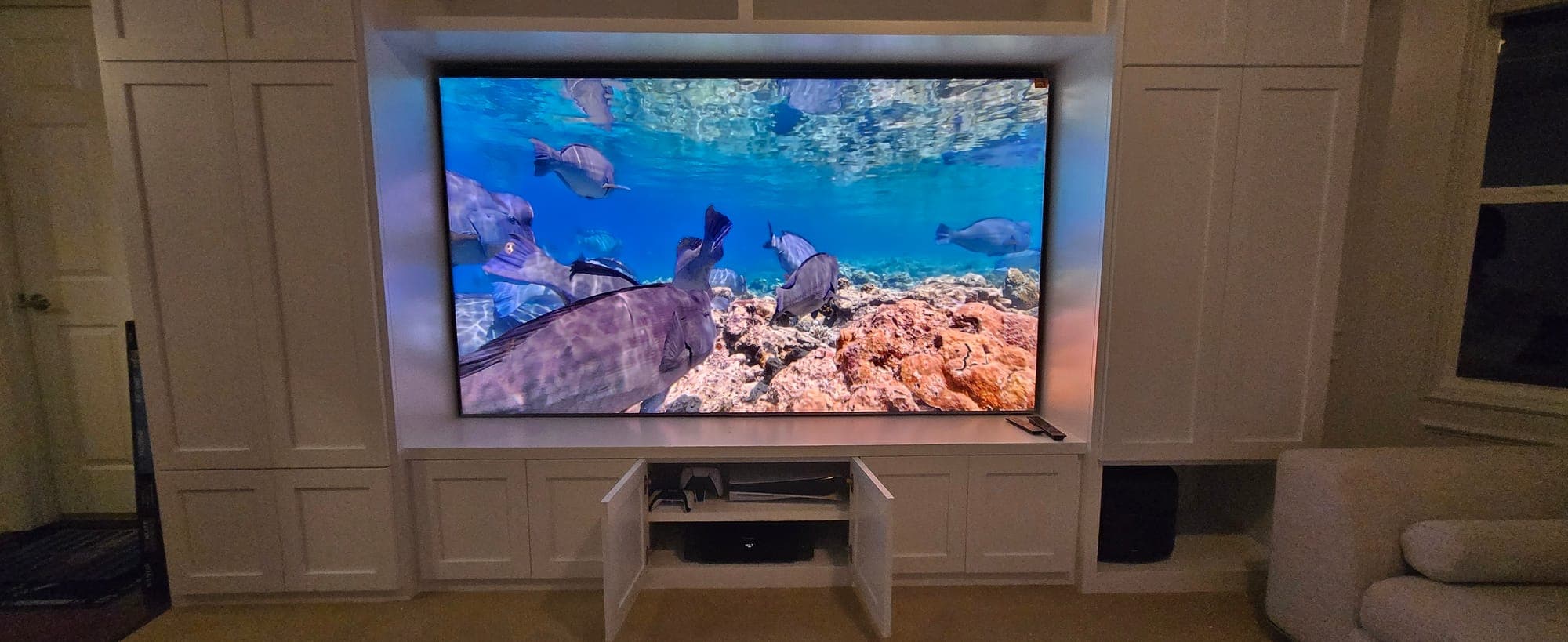 Built-in living room TV displaying a vivid underwater reef scene